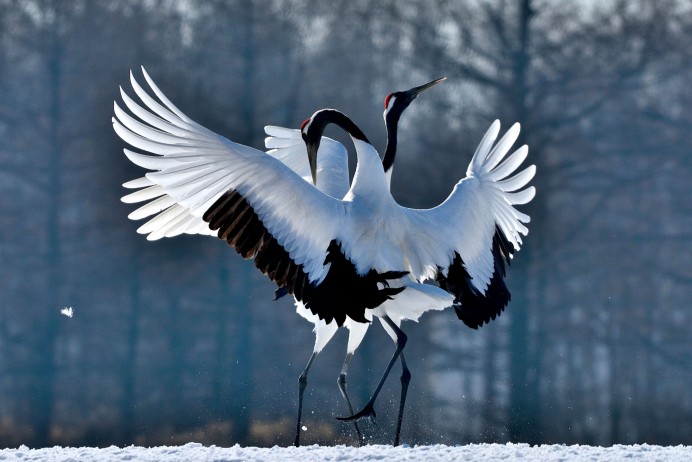 5ebb55bb04cc89f42889c3a43b946bc5.jpg